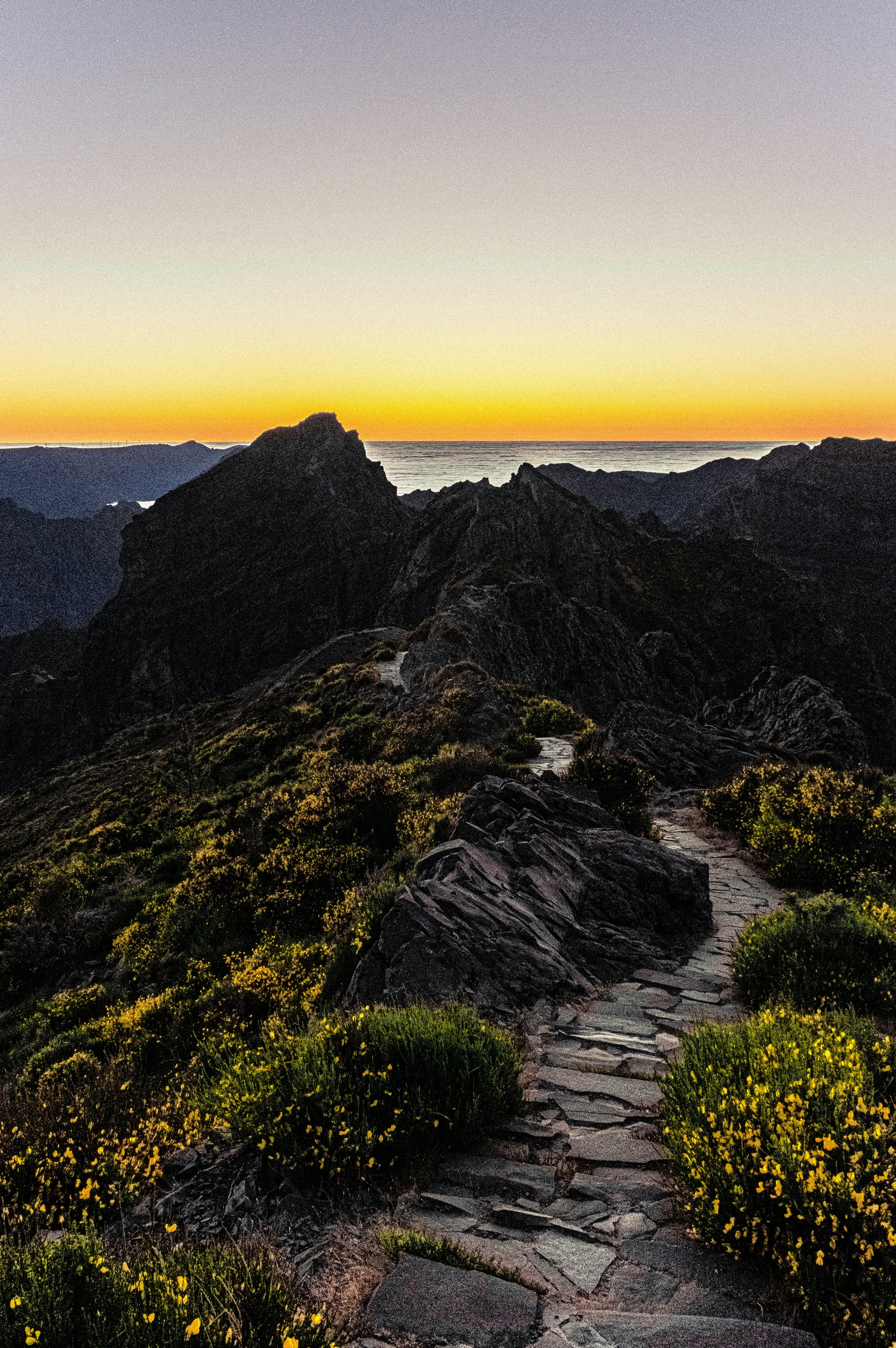 Sunset in Madeira, Portugal. View from Pico do Arieiro. 👋 Hi, your small donation -> my huge appreciation paypal.me/DanieleFranchi 🙏🙏🙏” style=”clear:both; float:left; padding:10px 10px 10px 0px;border:0px; max-width: 305px;”> Una vez presentada la camiseta, ahora sólo les queda luchar por repetir los éxitos cosechados esta temporada, en la que accedieron a la final de la Champions League y ganaron la Serie A y la Coppa Italia. Nadie ha jugado más partidos que él en la Serie A (656), nueve más que Maldini y una treintena más que Totti. Al igual que el Nápoles, ya tenía una camiseta especial para lo partdos de Champions League y se prevé que juegue con ella. Hecho!”, explica el medio con una imagen del mediocentro de 23 años con los colores de la Juventus y a su lado Pjanic vestido con la camiseta del Barça. A falta de la confirmación oficial de Barça, que no llegará hasta que el balón deje de rodar, los medios italianos, tal y como informó La Vanguardia , aseguran que hay acuerdo en los términos del traspaso. Lo correcto es que deje de molestar”, anunció en BeIN, en un tono de broma.</p>
<div style=
