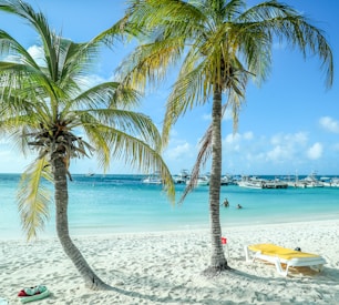 white and yellow boat on beach during daytime