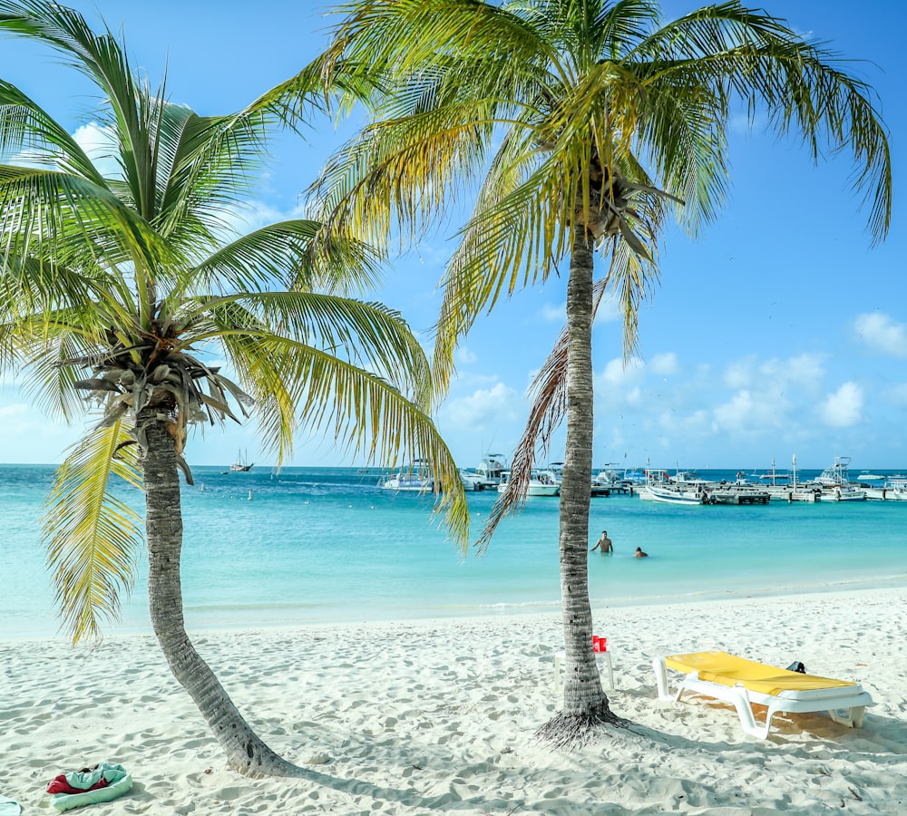 white and yellow boat on beach during daytime