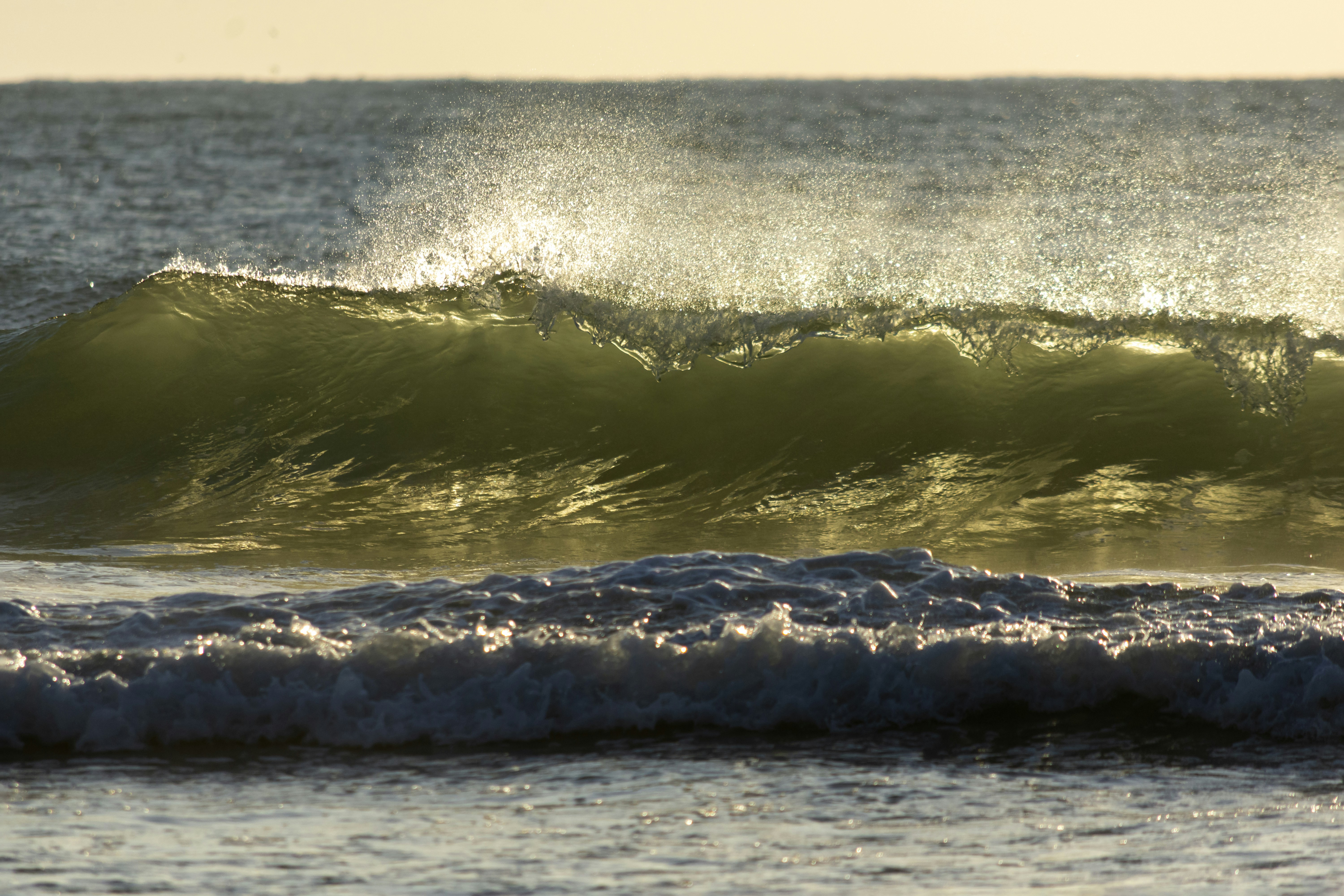 Photo by milen_kolev