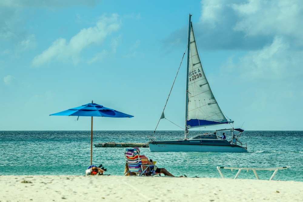 people on beach during daytime