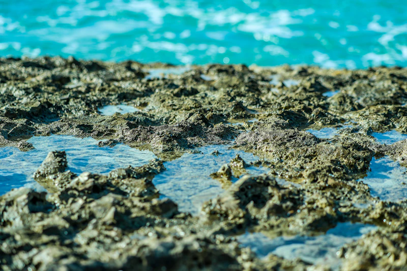 Costa rocosa con agua de mar en Aruba