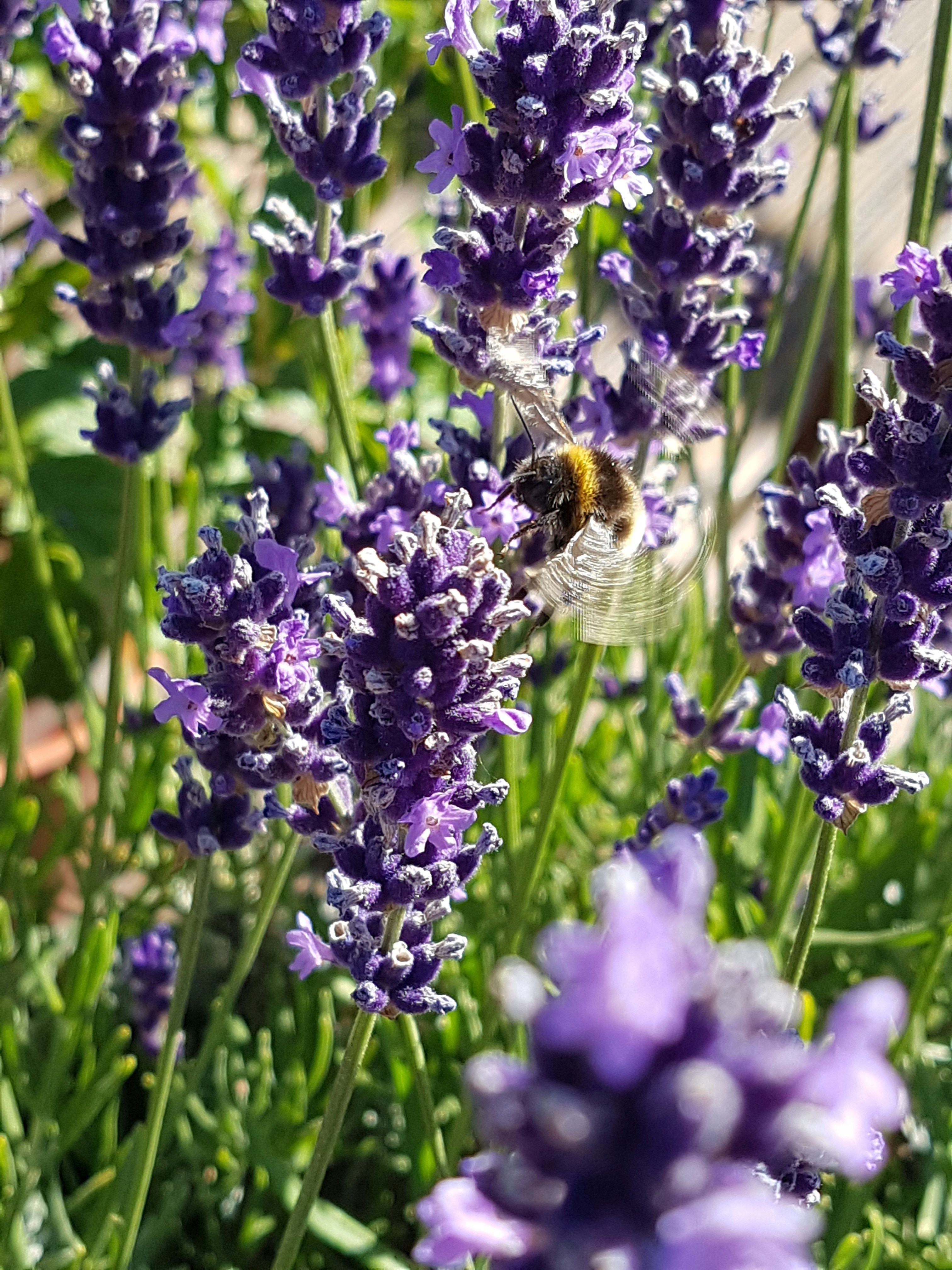 Photo by scottbrayley