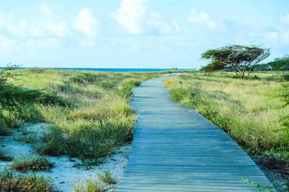 brown wooden pathway between green grass field under blue sky during daytime