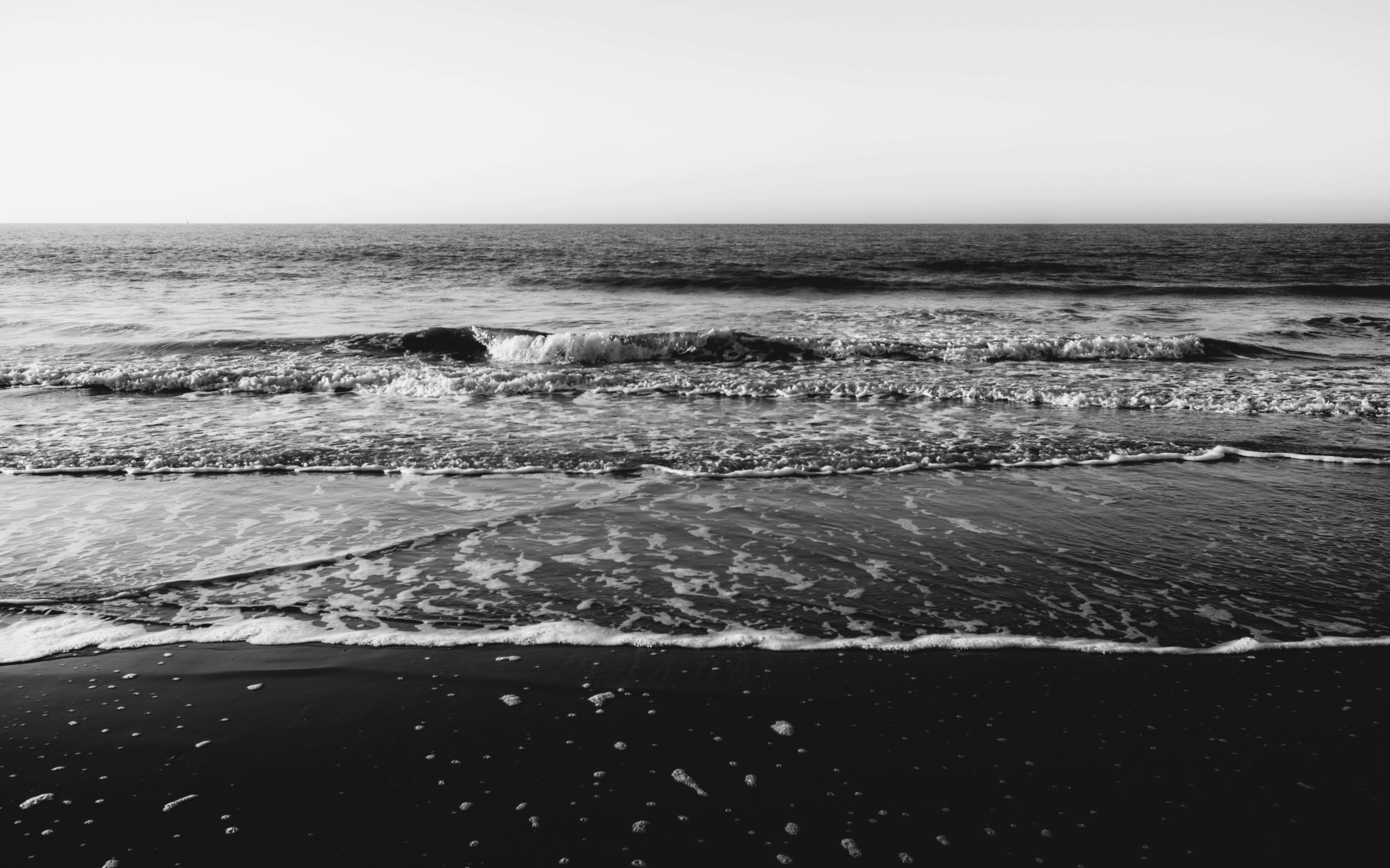 Photo by moisamihai092