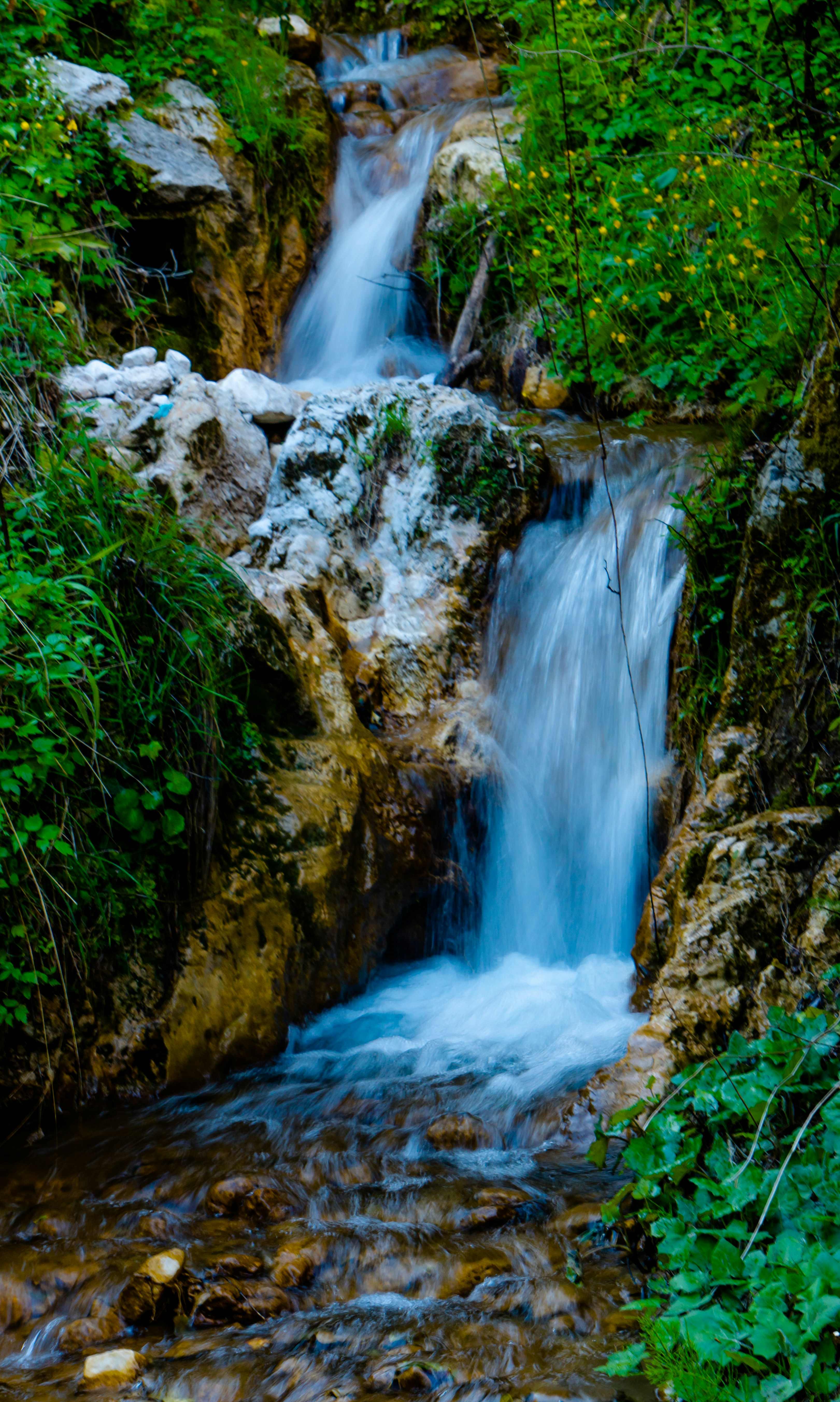 Photo by umbertodicapua