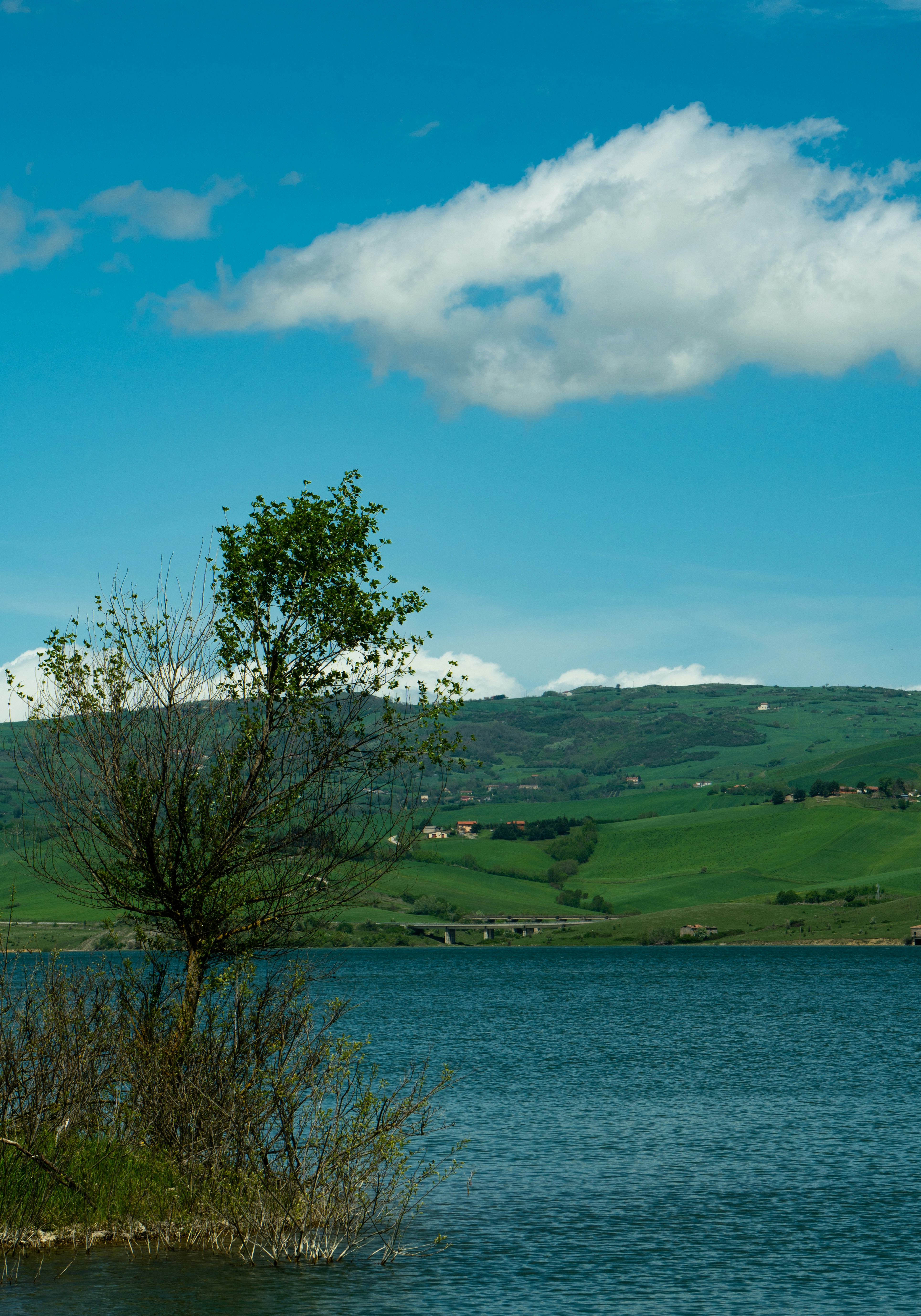 Photo by umbertodicapua