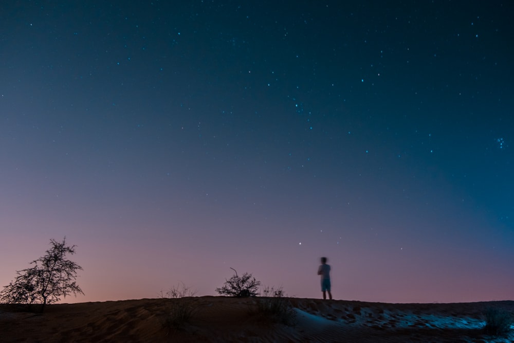 person standing on brown field during night time