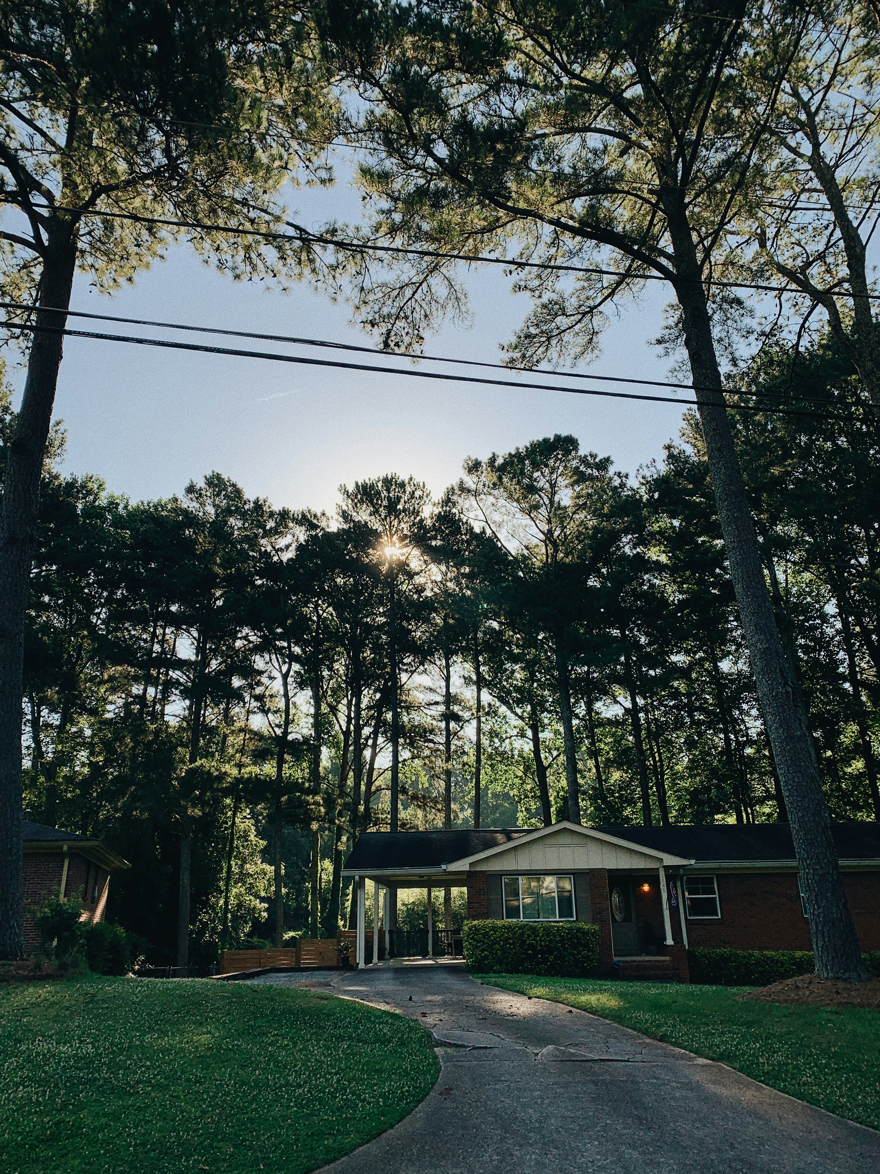 photo of South Georgia