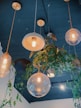 white pendant lamp turned on near green plant