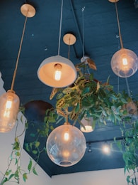 white pendant lamp turned on near green plant