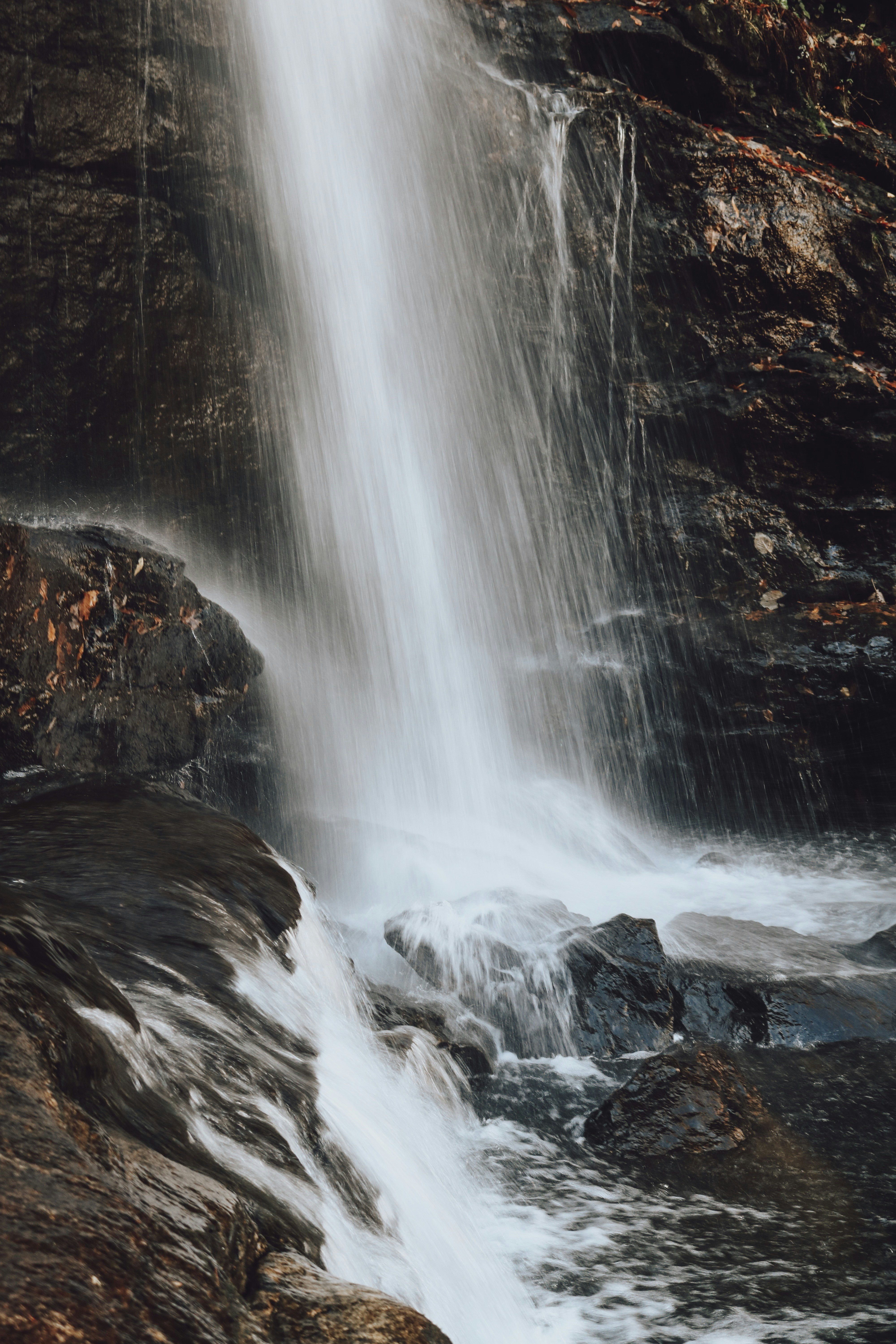 Photo by mackenziemardis