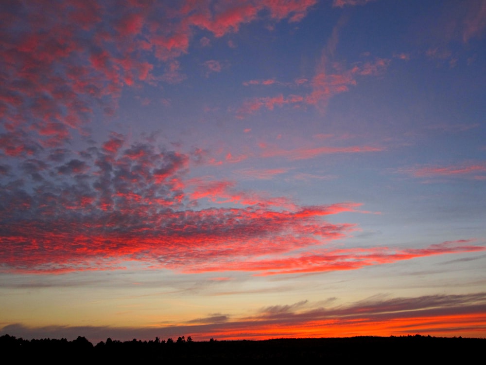 silhouette of trees under cloudy sky during sunset