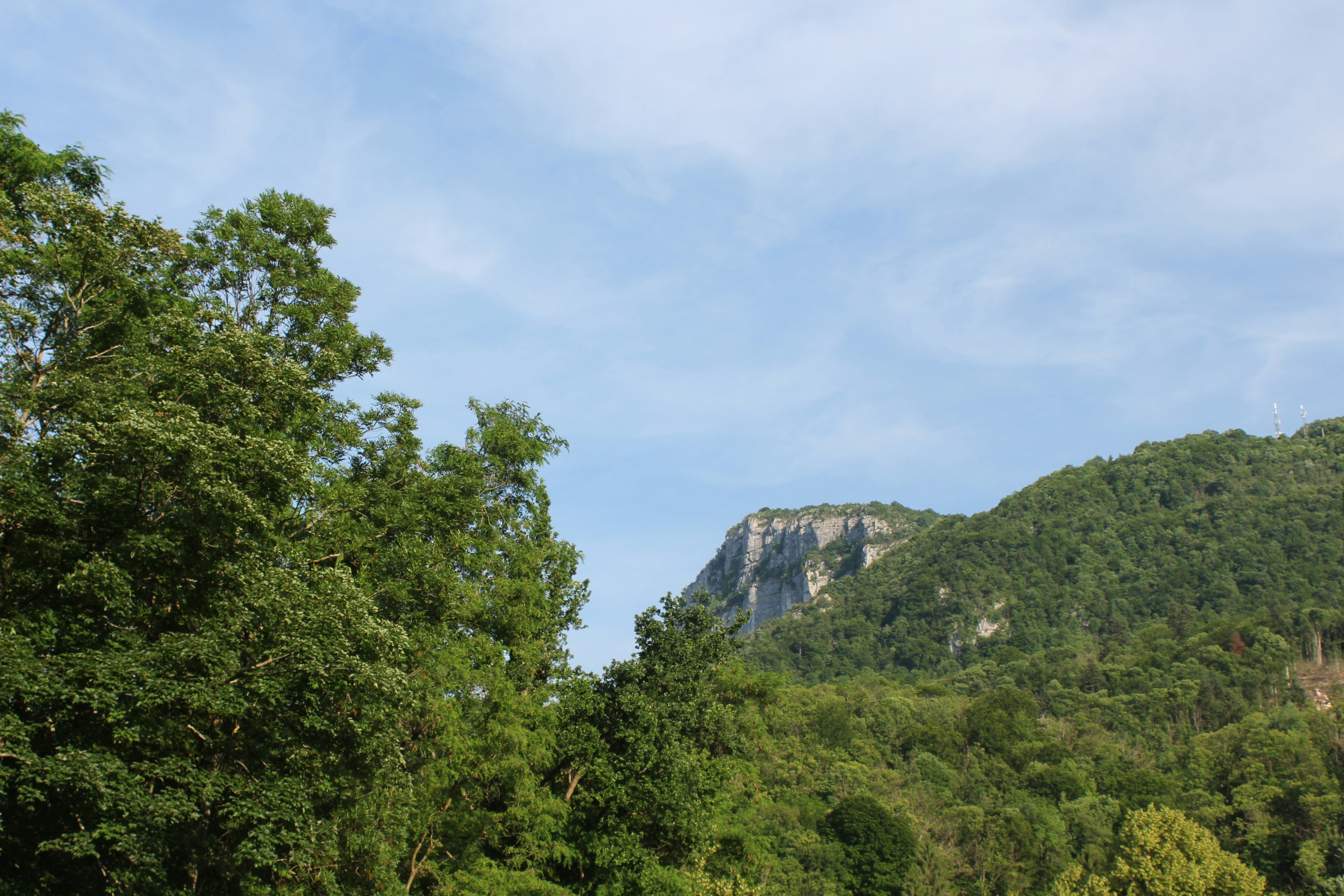 green trees on mountain under white clouds during daytime