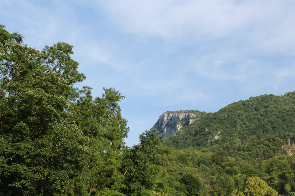 green trees on mountain under white clouds during daytime