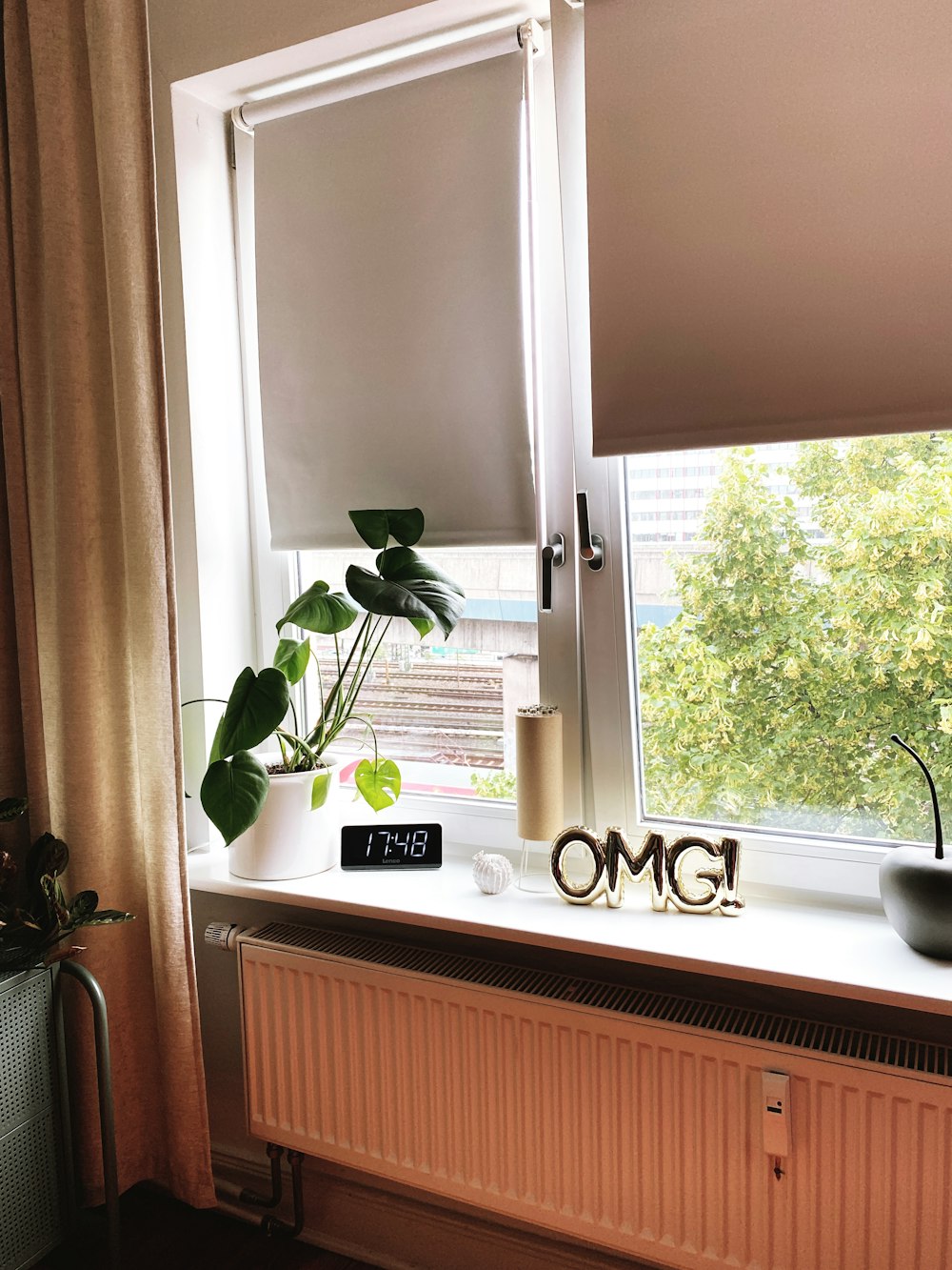 green potted plant on white ceramic sink