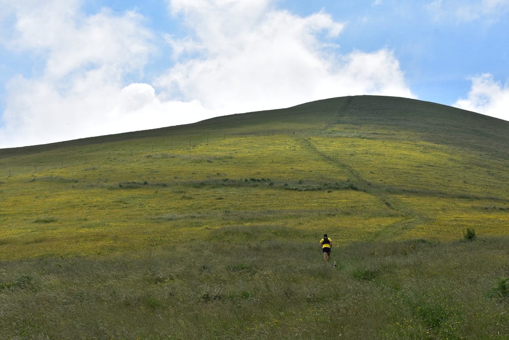 person walking on green grass field during daytime