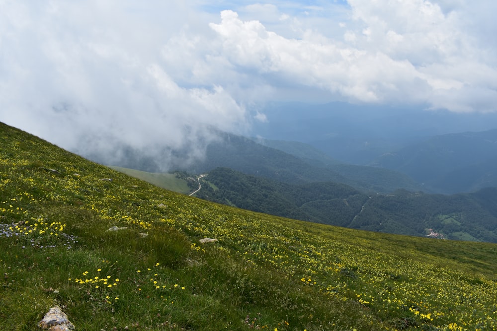 campo de hierba verde bajo nubes blancas durante el día