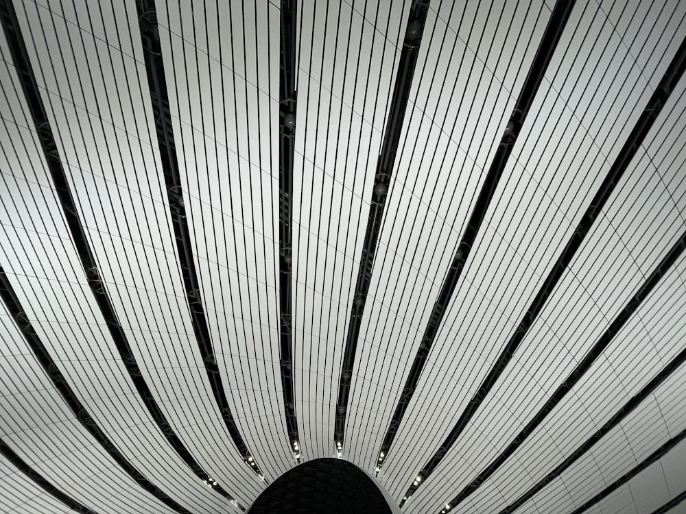 white and black striped ceiling
