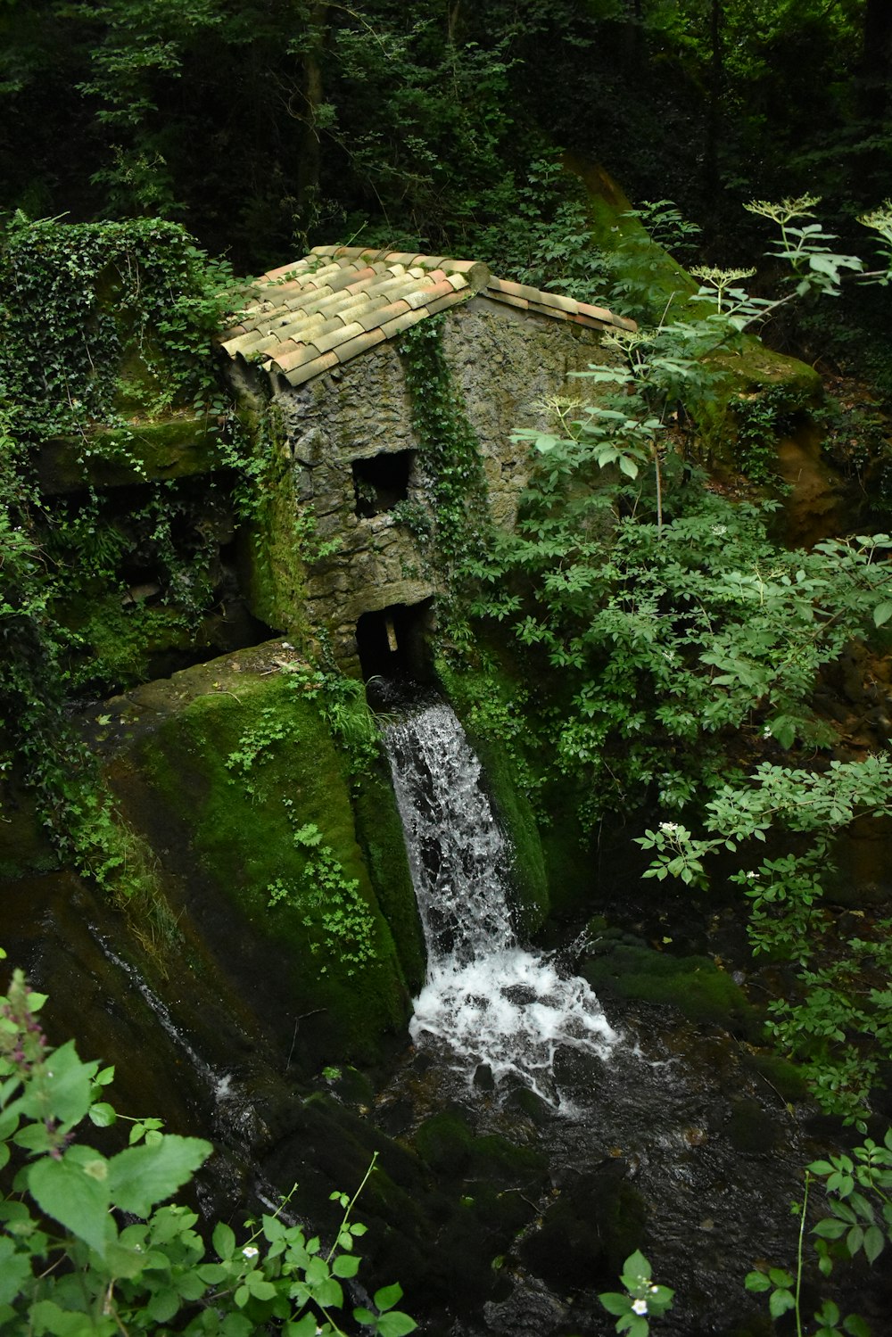 brown wooden house on green moss covered rock formation near waterfalls during daytime