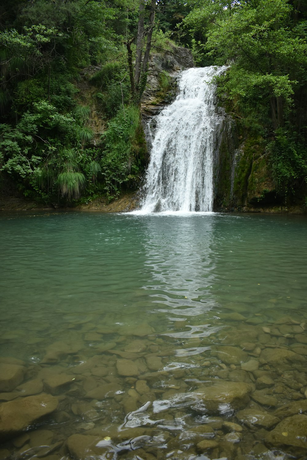 water falls in the middle of green trees