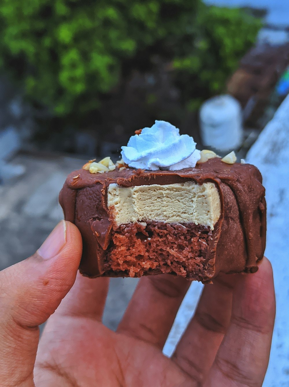 person holding chocolate cake with white icing