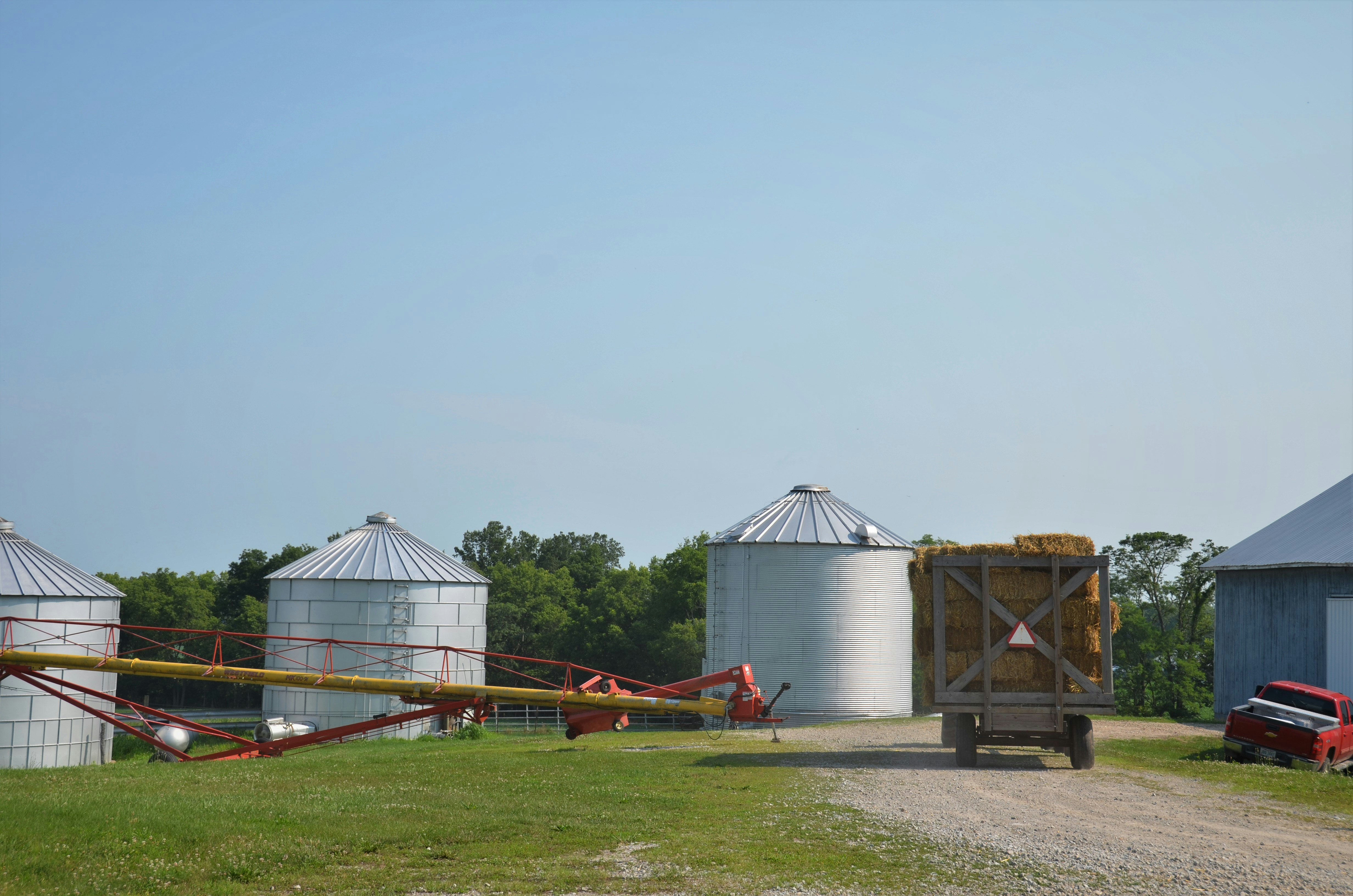 photo 1625499429670 e6e98f509248?crop=entropy&cs=tinysrgb&fit=max&fm=jpg&ixid=M3w1MjQ0NjR8MHwxfHNlYXJjaHwxOXx8UGVzdCUyMENvbnRyb2wlMjBTZXJ2aWNlJTIwSm9wbGluJTIwTWlzc291cml8ZW58MHwwfHx8MTc2MDMxNzA0MXww&ixlib=rb 4.1