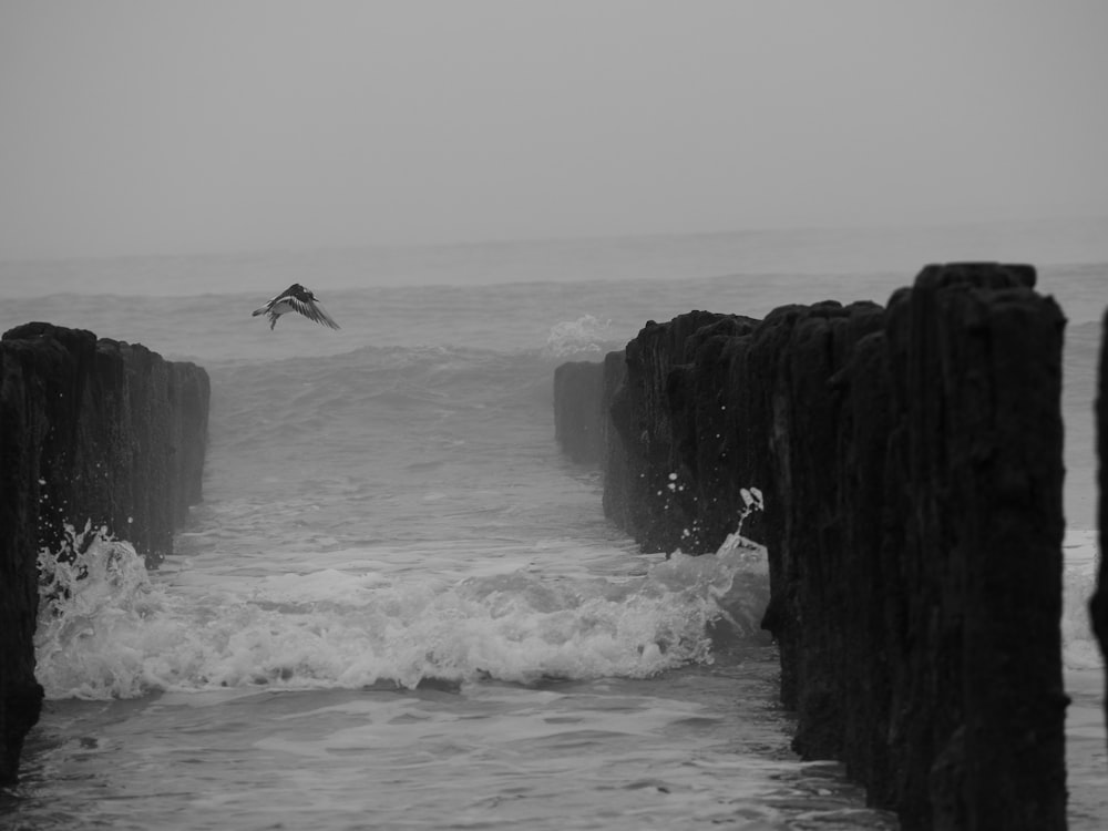 grayscale photo of bird flying over sea waves