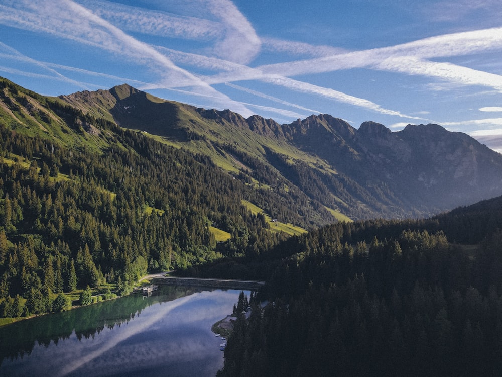 green trees on mountain under blue sky during daytime