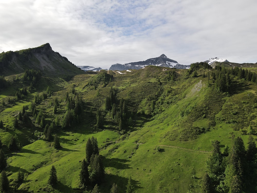 green mountains under white clouds during daytime