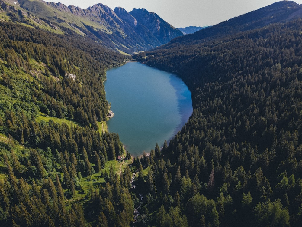 lake in the middle of green trees and mountains