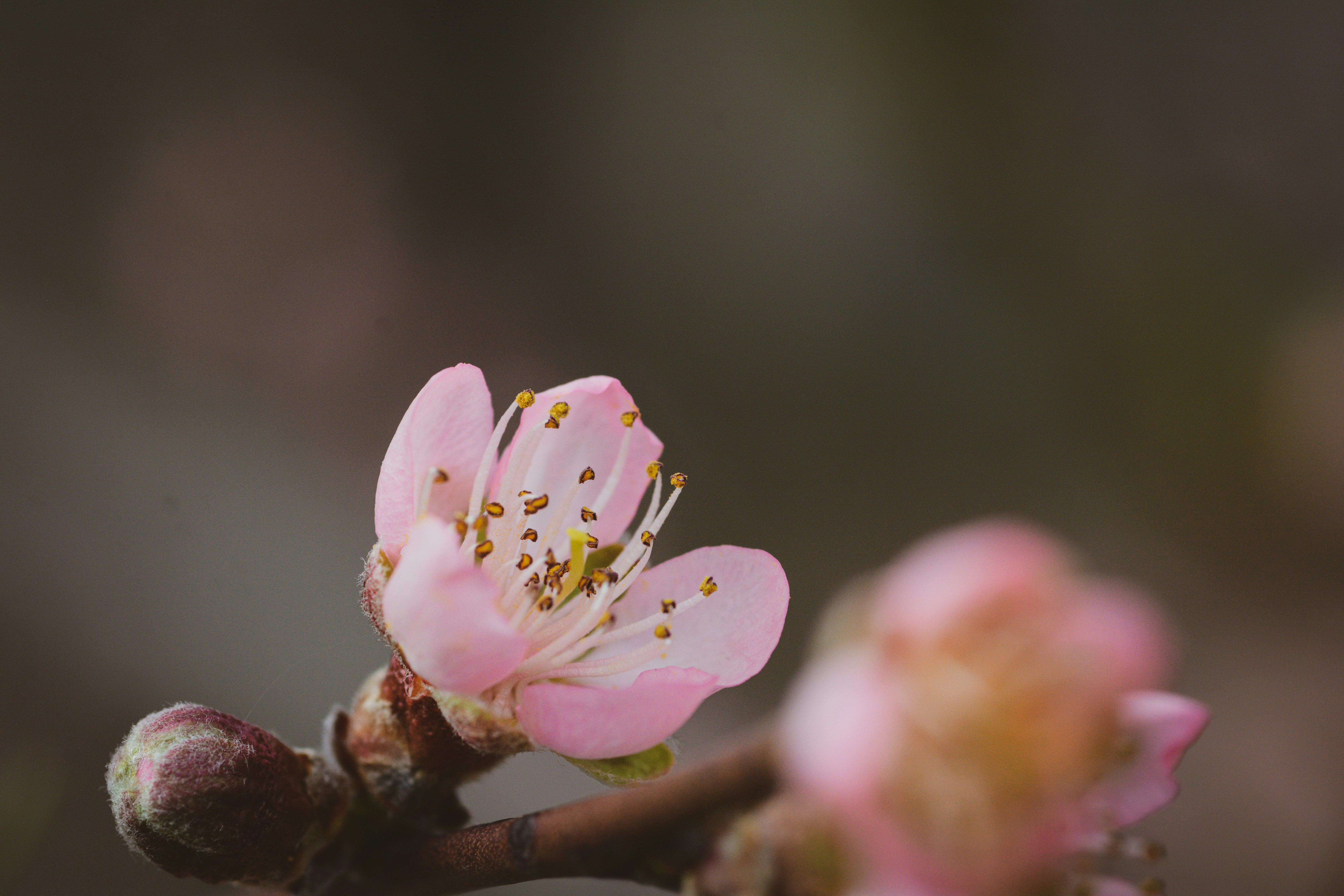 Photo by colincypher