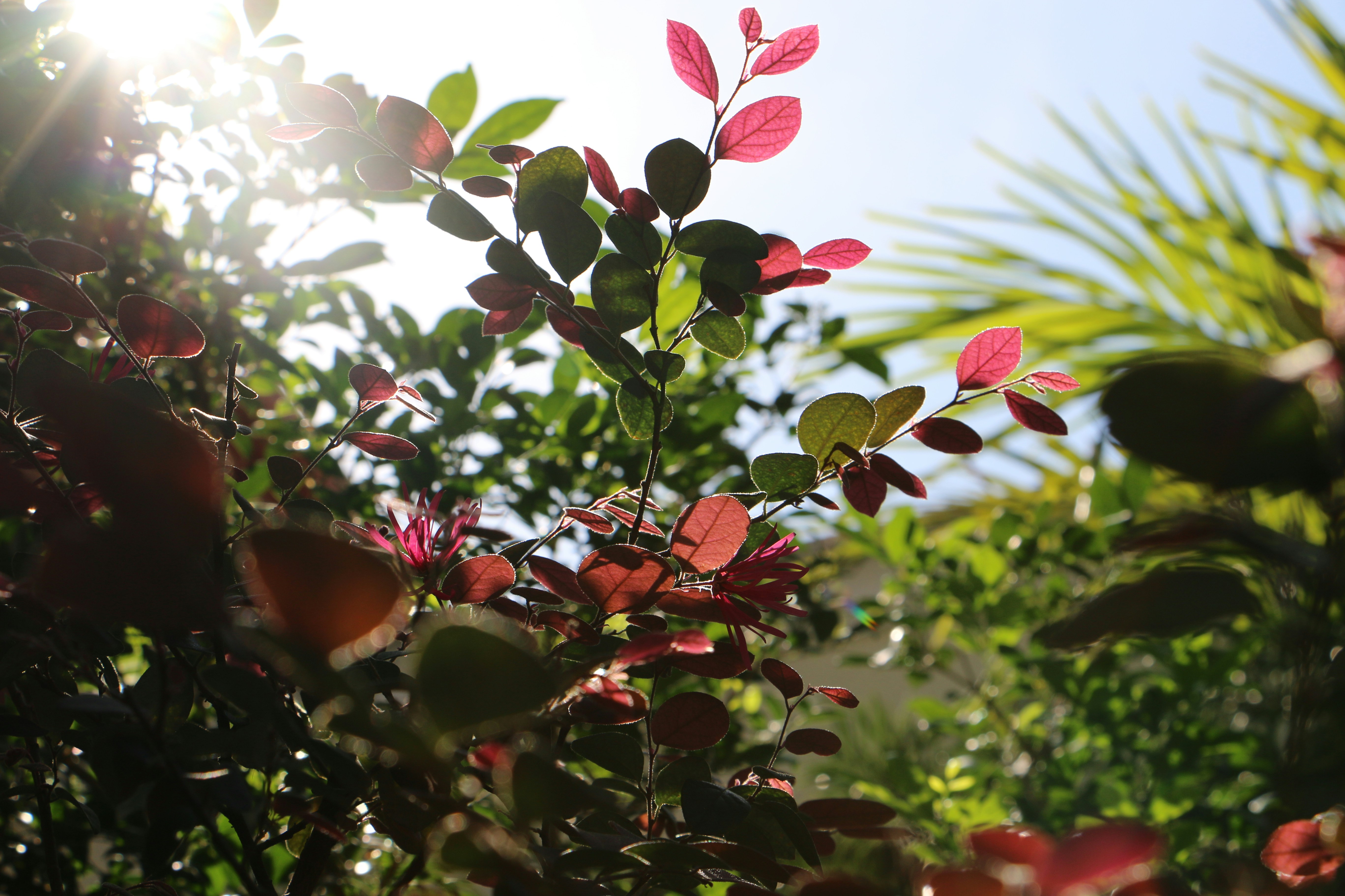 Photo by natasyajayy