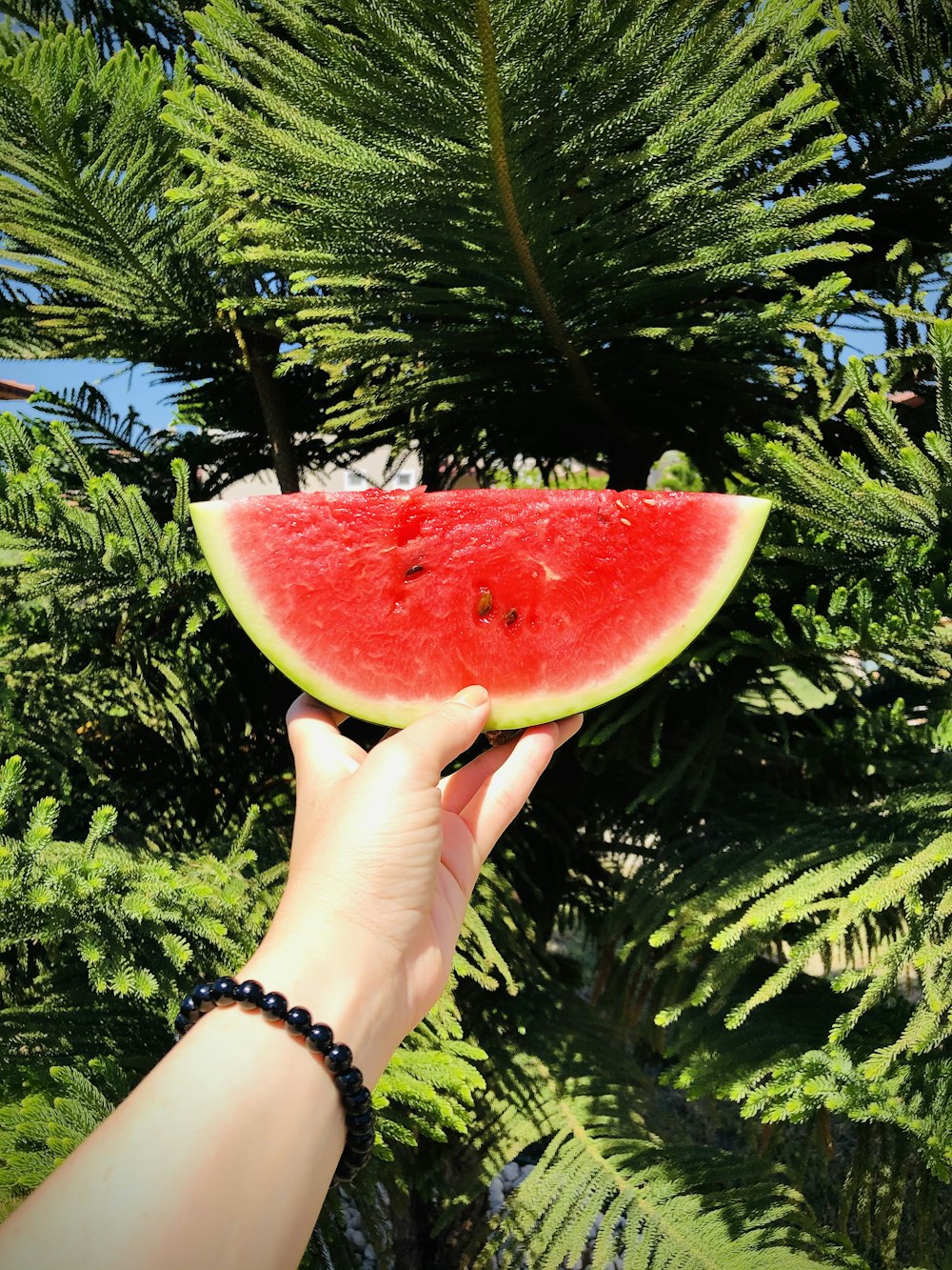 person holding sliced watermelon fruit