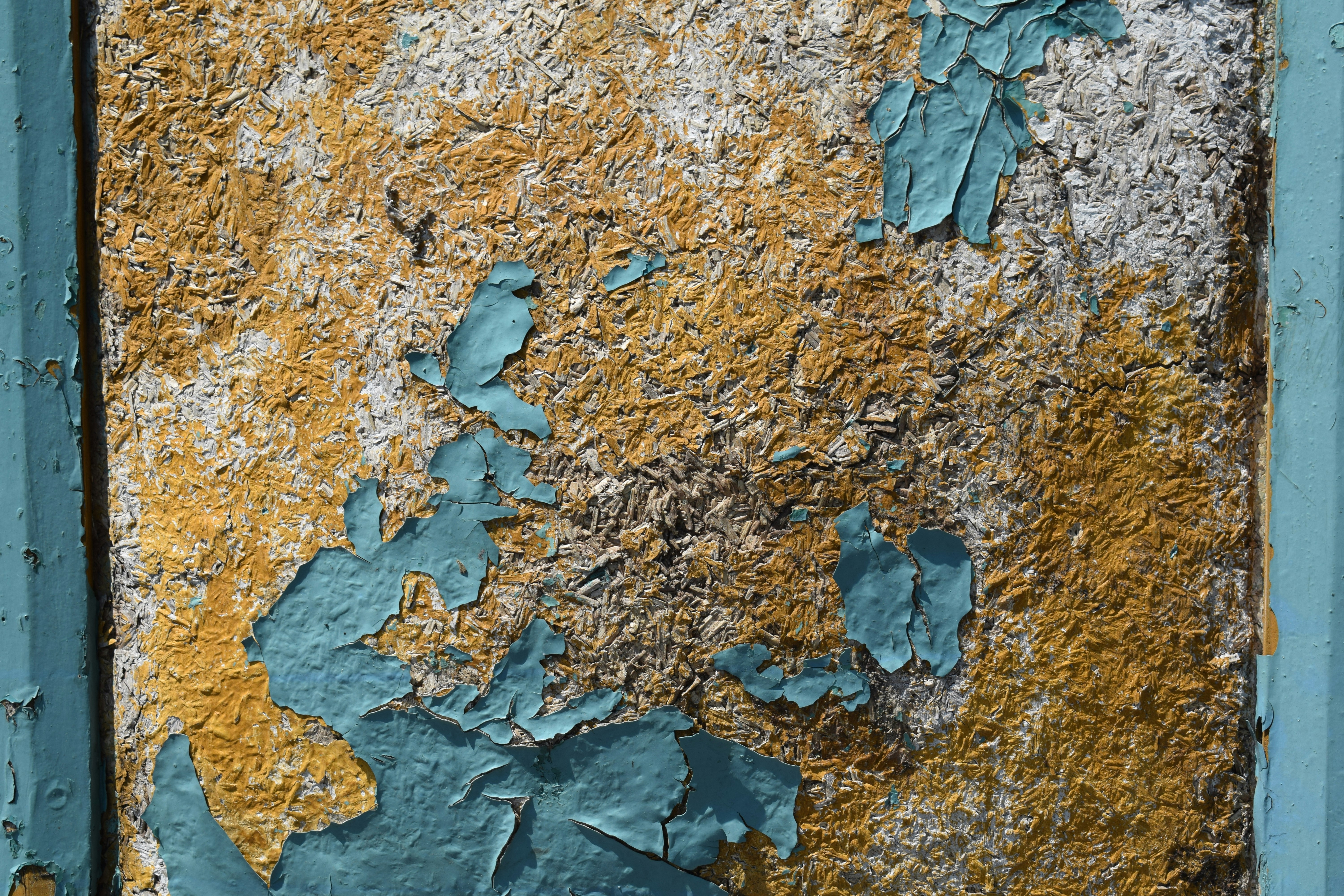 green leaves on brown soil