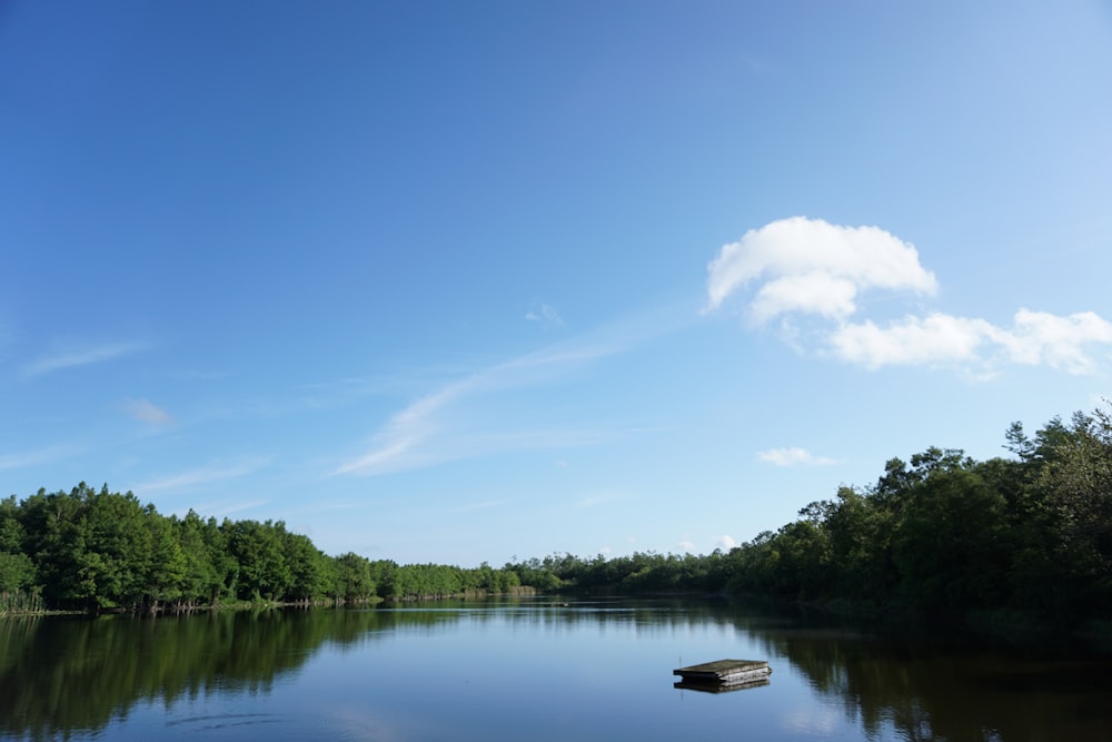 weißes Boot auf dem See in der Nähe grüner Bäume unter blauem Himmel tagsüber