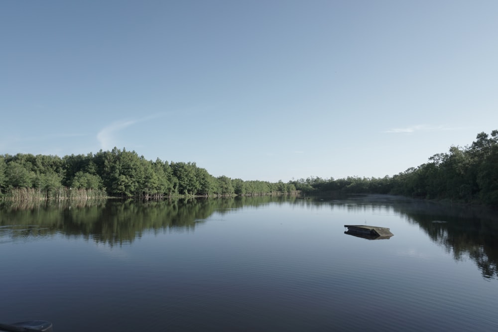 green trees beside lake under blue sky during daytime