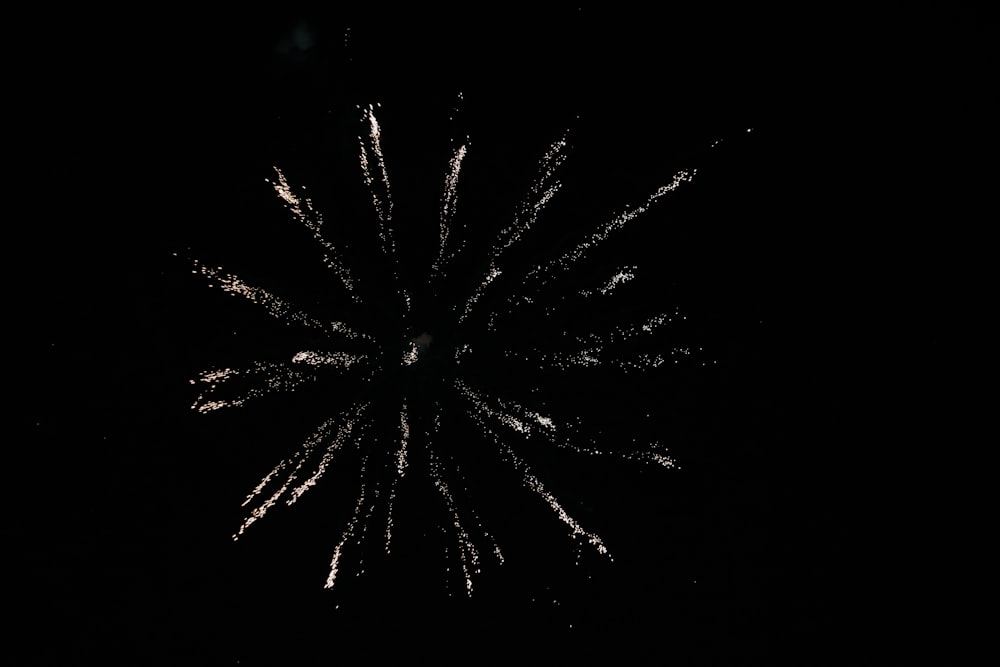 white and green fireworks in the sky