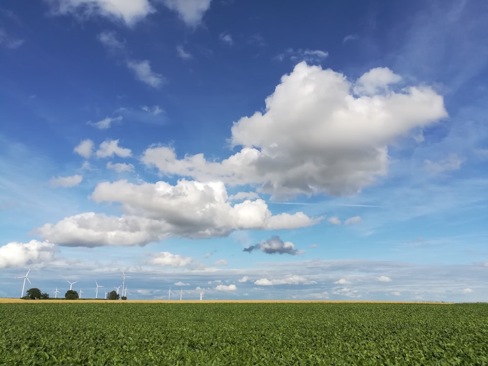 green grass field under blue sky and white clouds during daytime