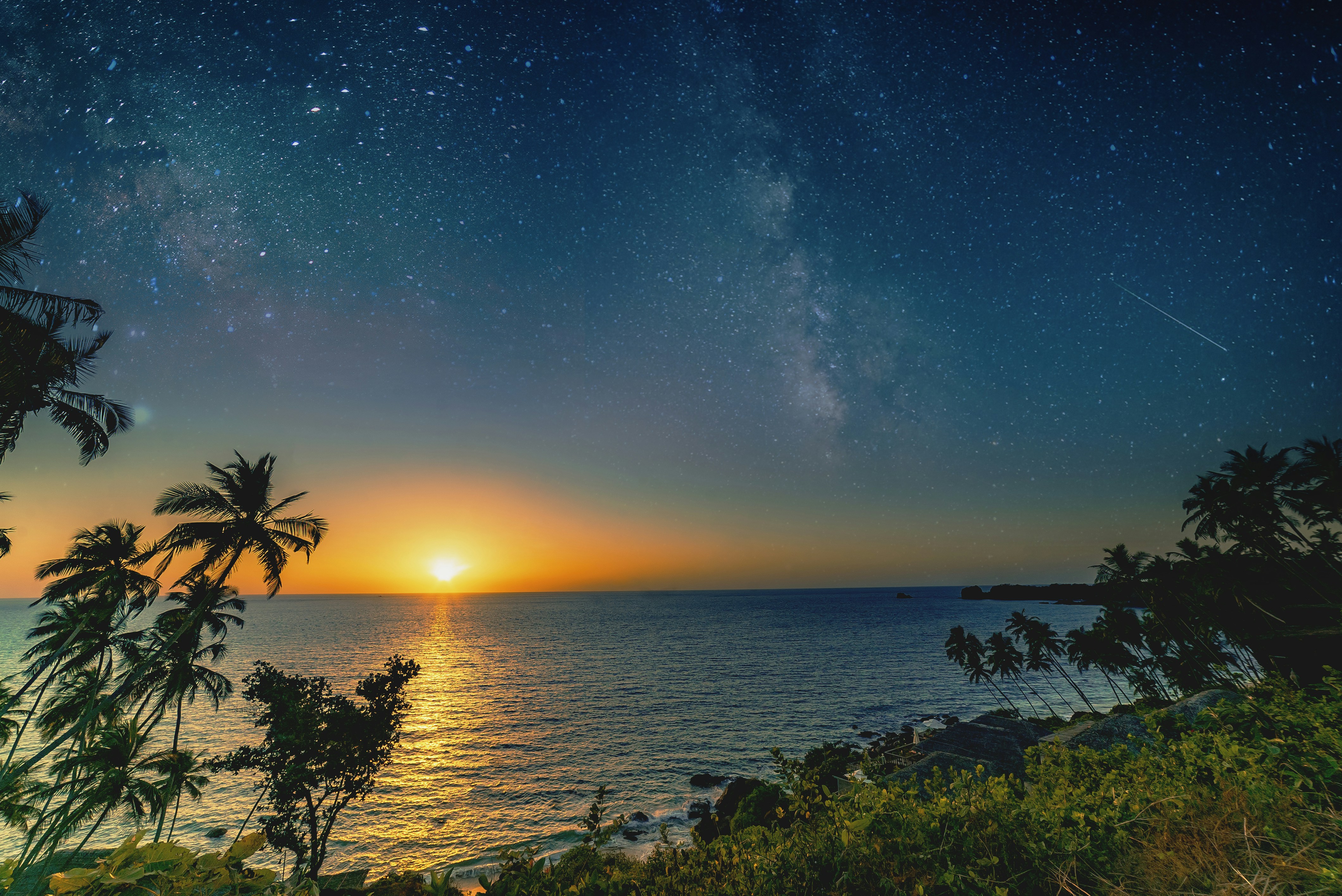 green trees near body of water during sunset, 