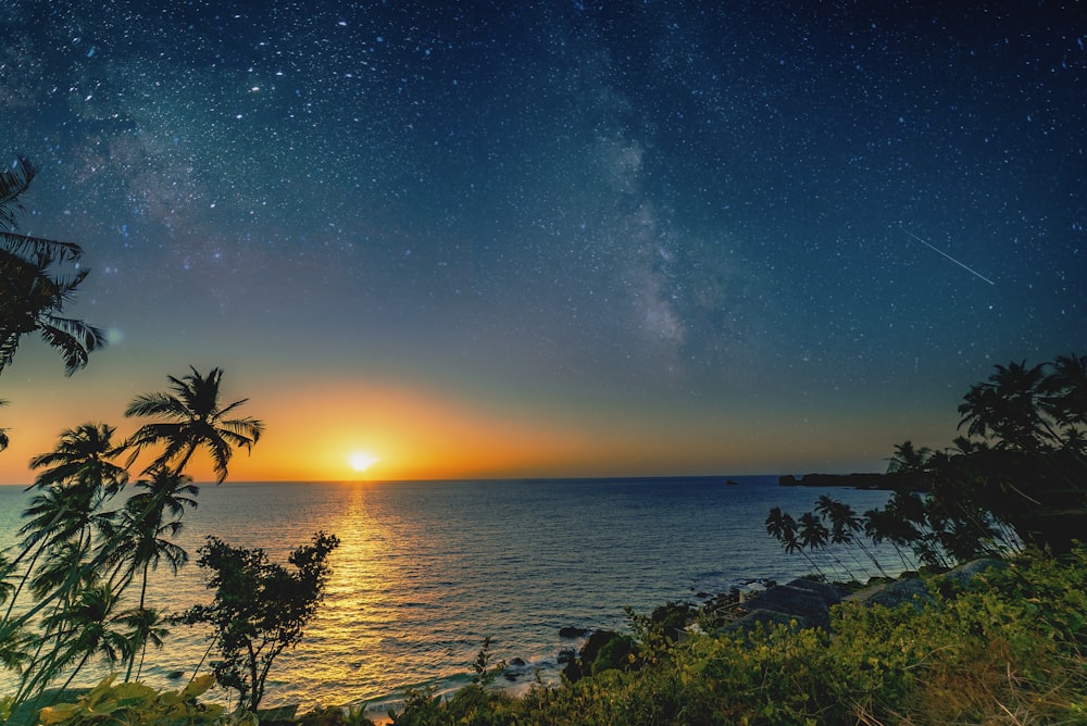 green trees near body of water during sunset