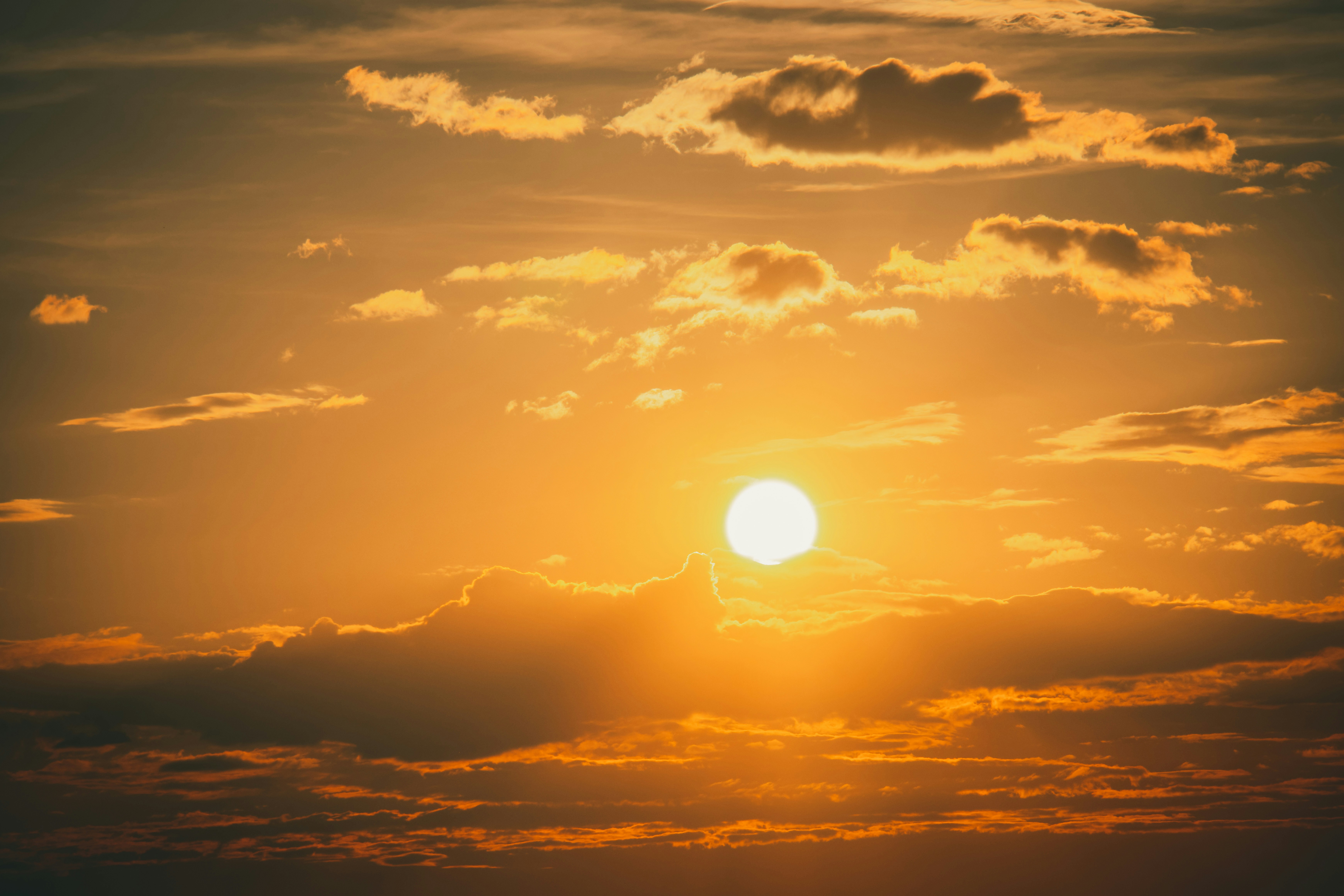 Photo by raimondklavins