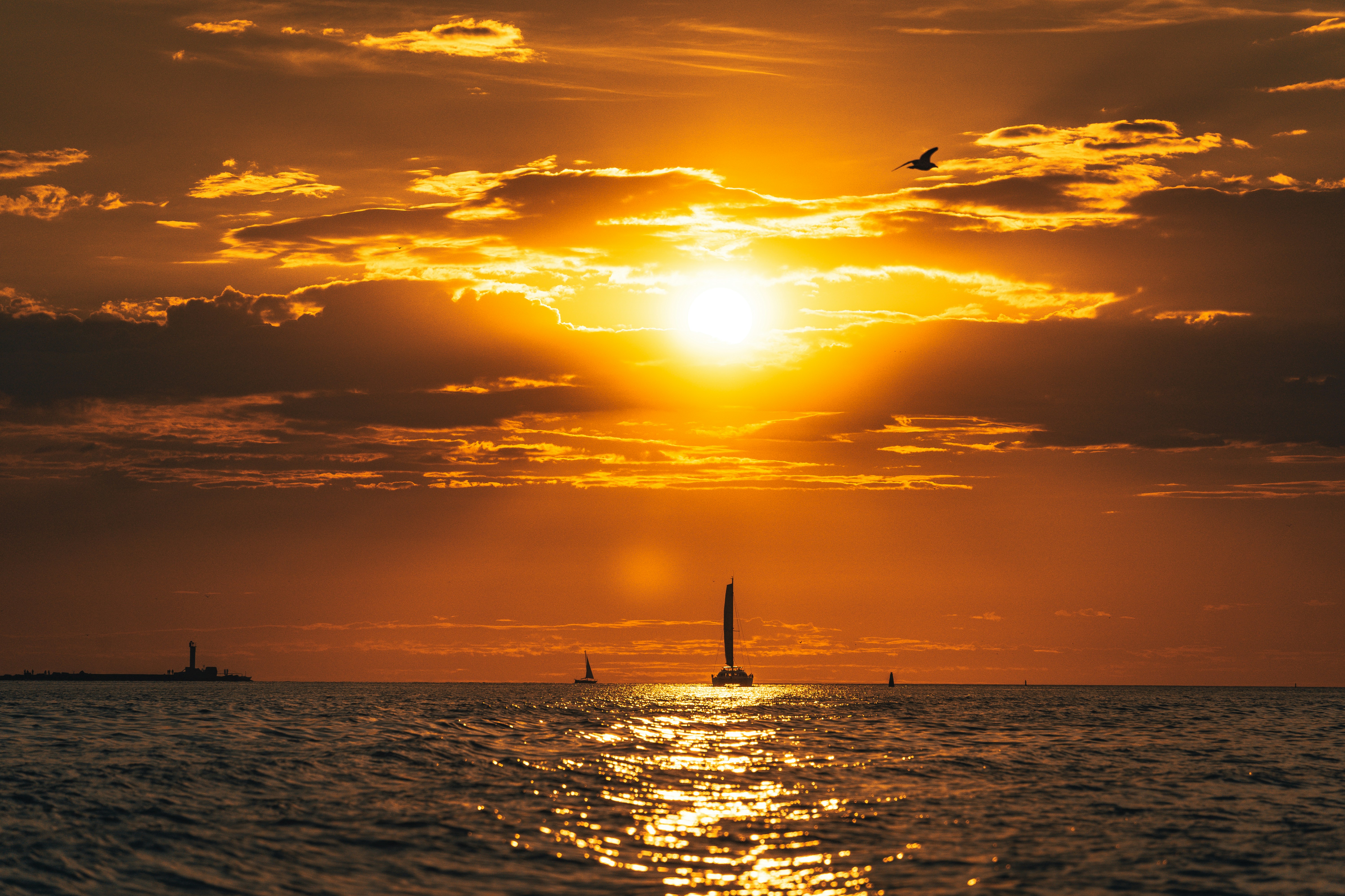 Photo by raimondklavins