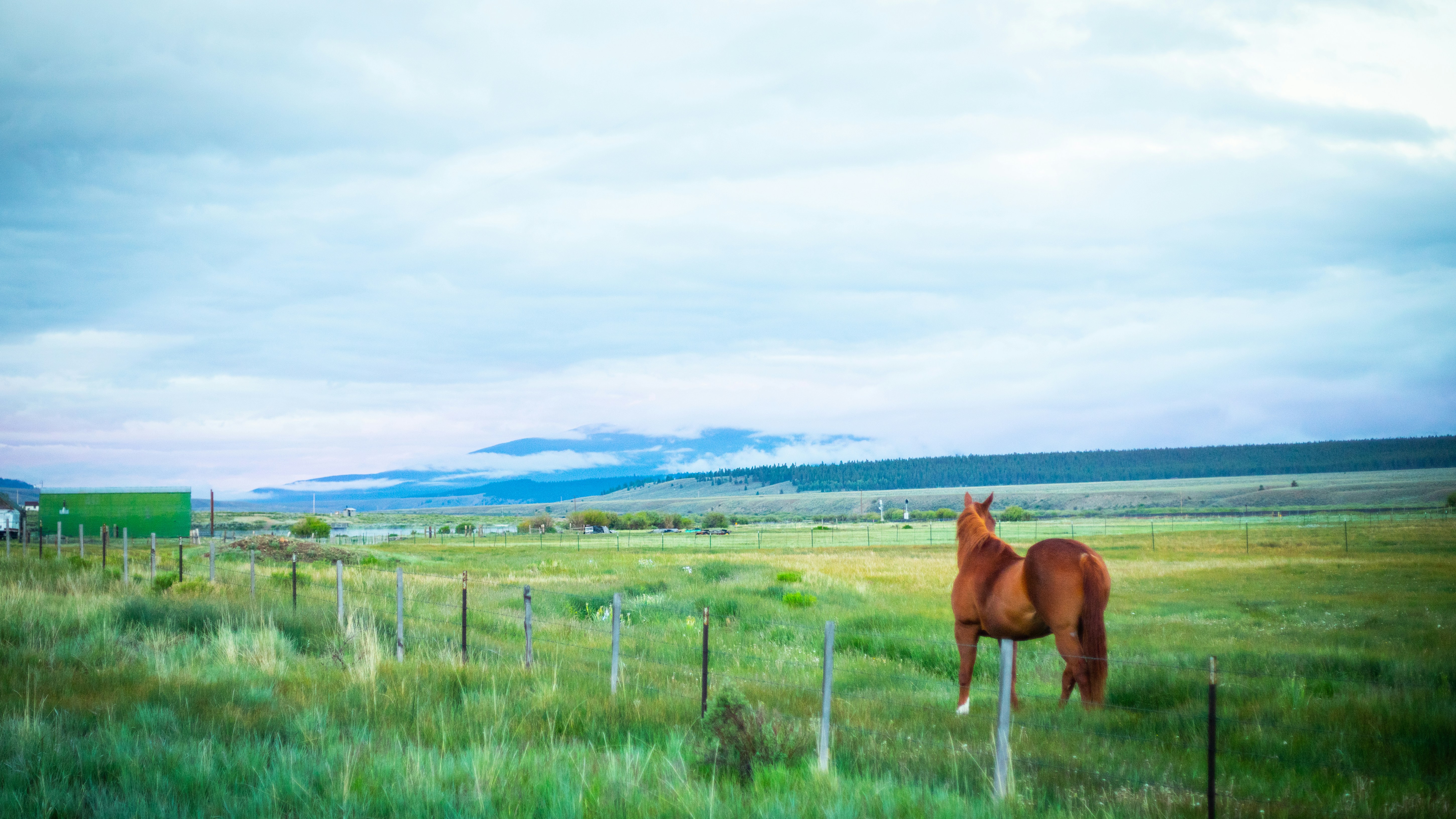 Photo by photosoflogan