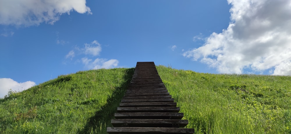 brown wooden stairs on green grass field under blue sky during daytime