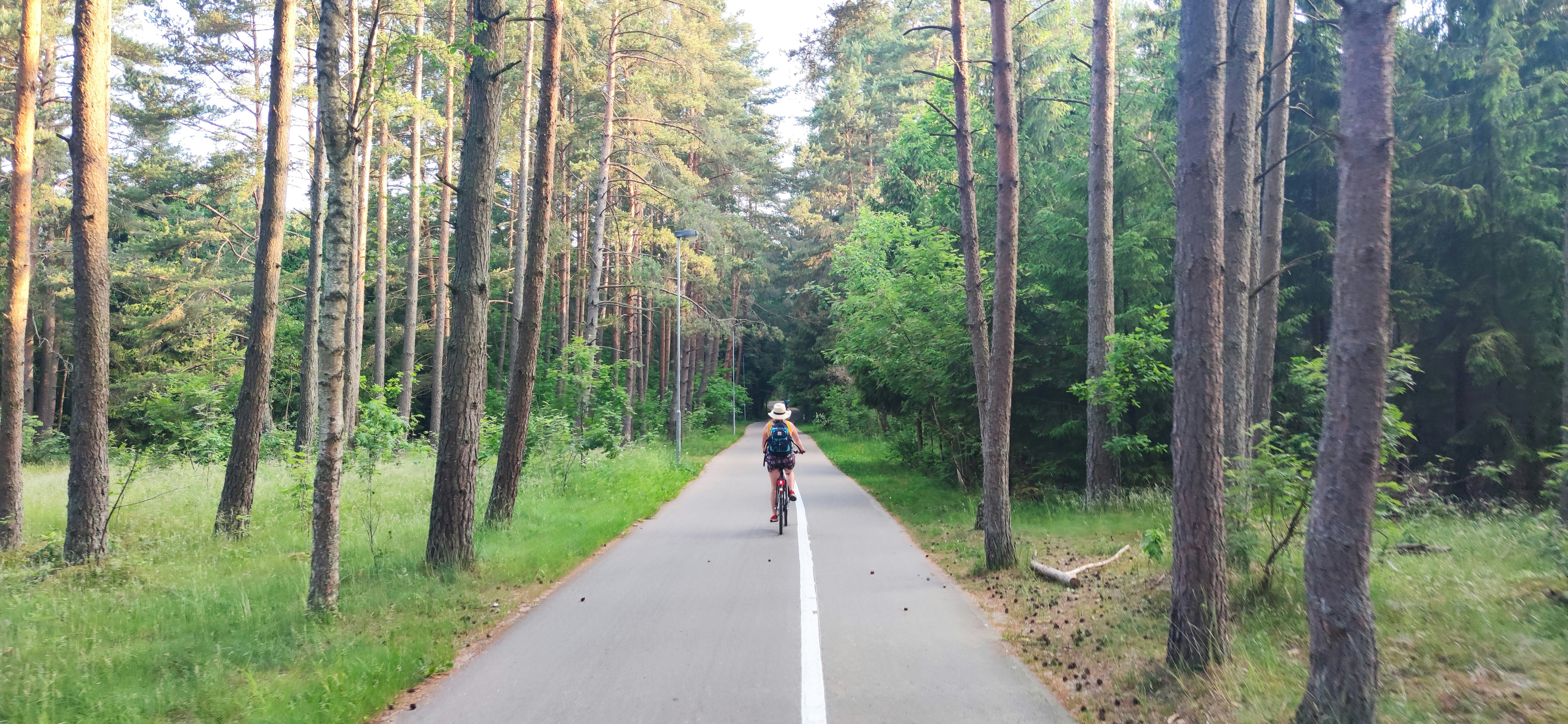person in red jacket riding bicycle on gray asphalt road during daytime