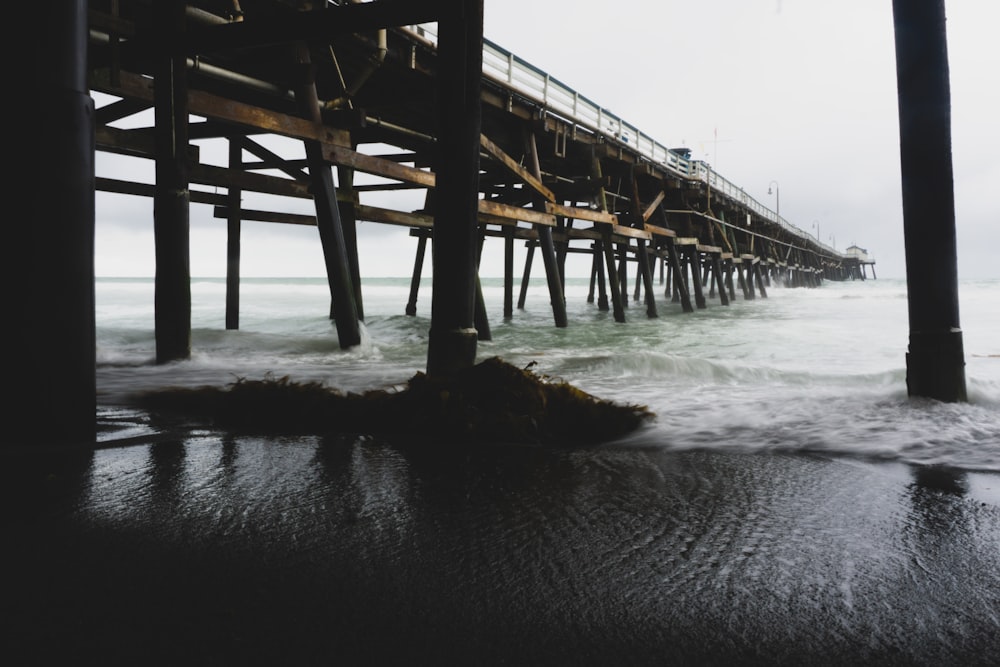 brown wooden dock on sea