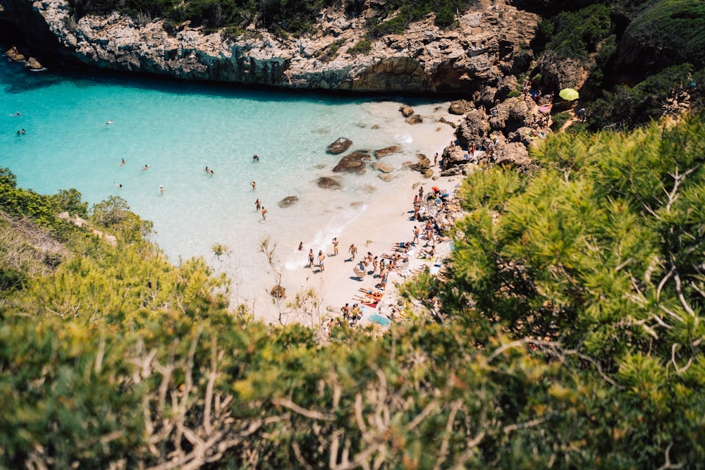 people on beach during daytime