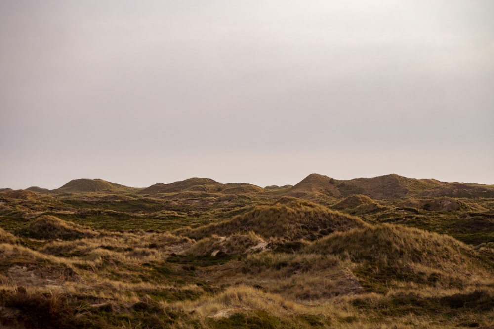 brown and green mountains under white sky during daytime