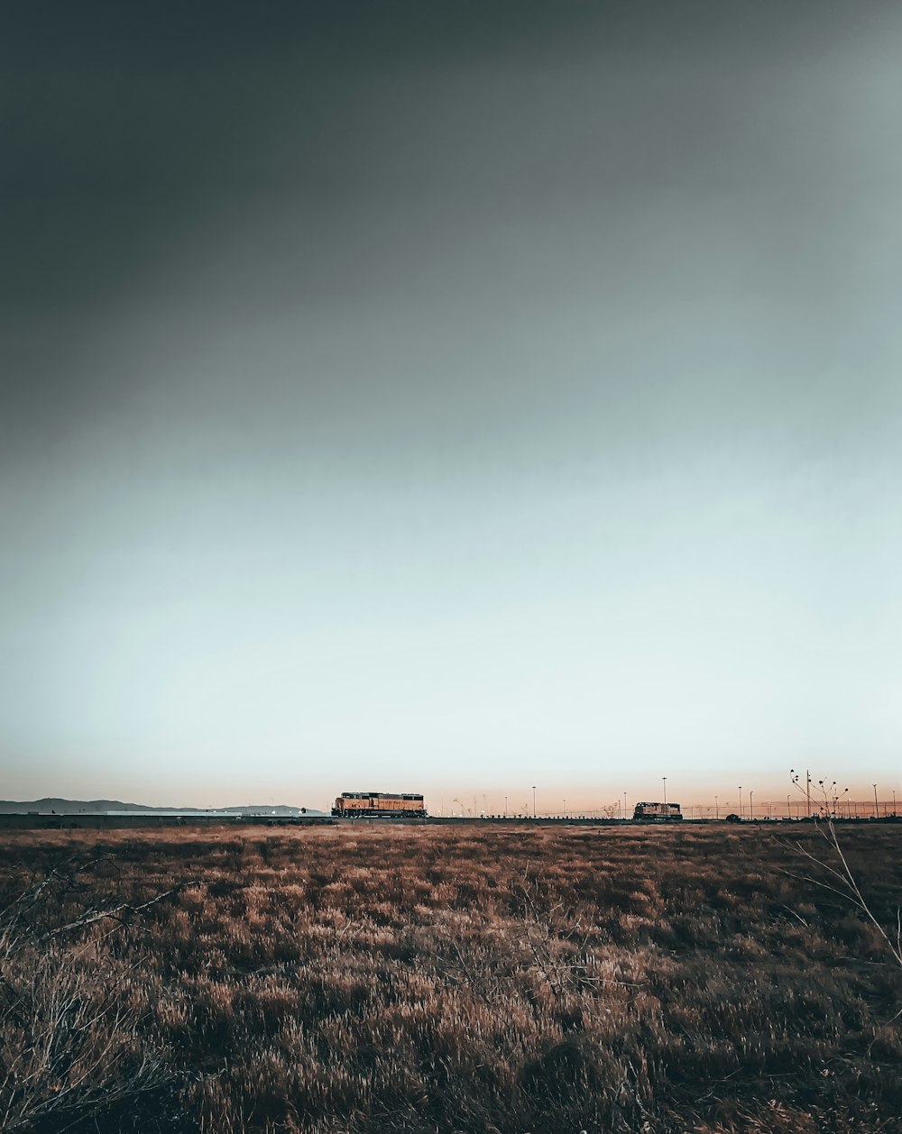 brown grass field under gray sky